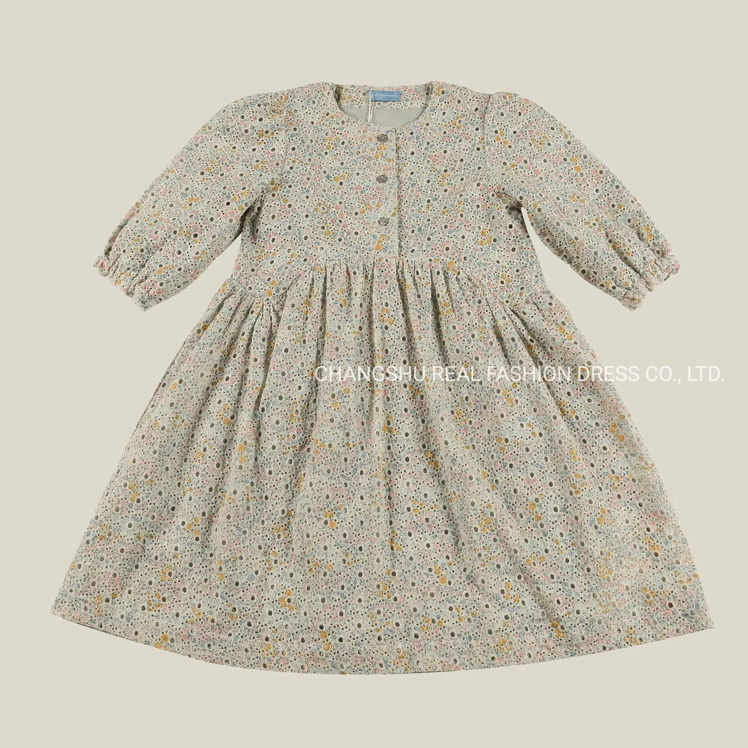 Children Clothing Girl Kids Fashion Woven Dress Wear with Embroidery Fabric