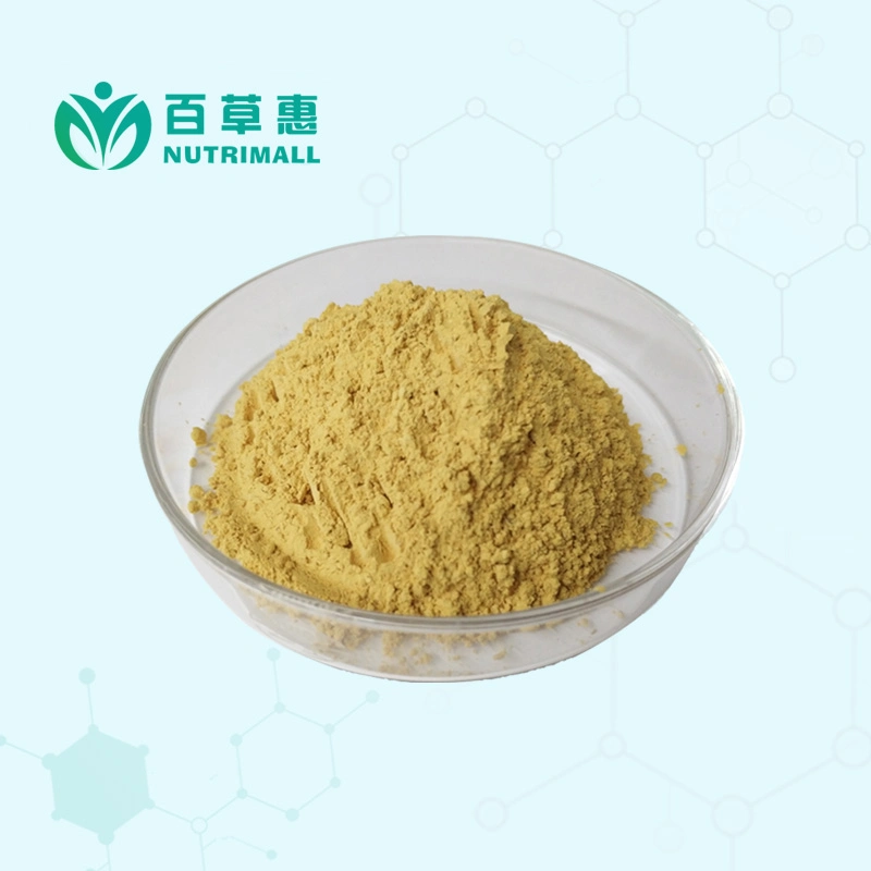 100% Natural Source CAS 331-39-5 Caffeic Acid Powder