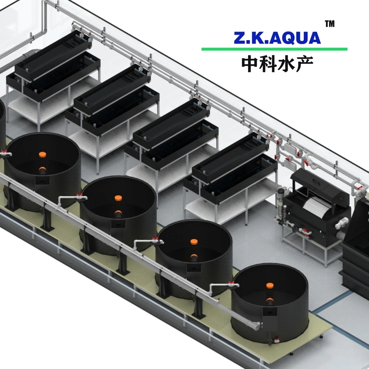 China Professional Manufacturer Factory Made Ras System Fish Farming Aquarium Filtration System Ras