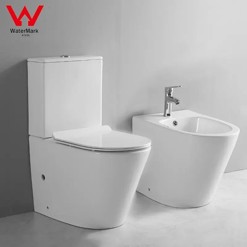 Two Piece Sanitary Ware Back to Wall Floor Mounted Bidet Complete Toilet