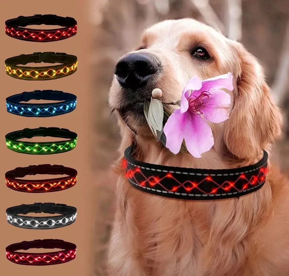 Colliers pour animaux à DEL brodés personnalisés collier pour chiens à DEL réglable