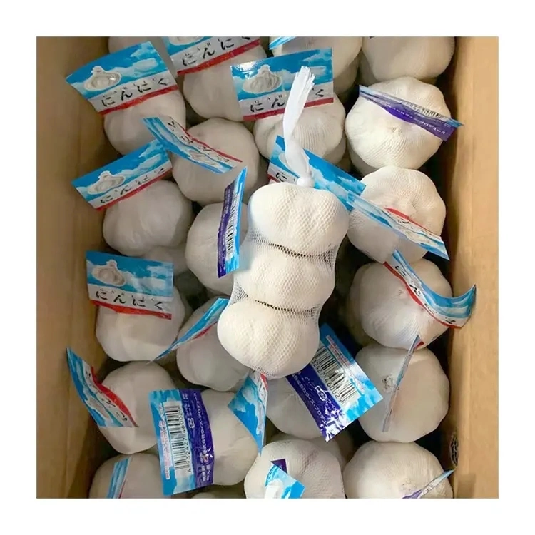 Ajo Blanco normal fresco de alta calidad para Indonesia 20kg malla Bolsa de ajo