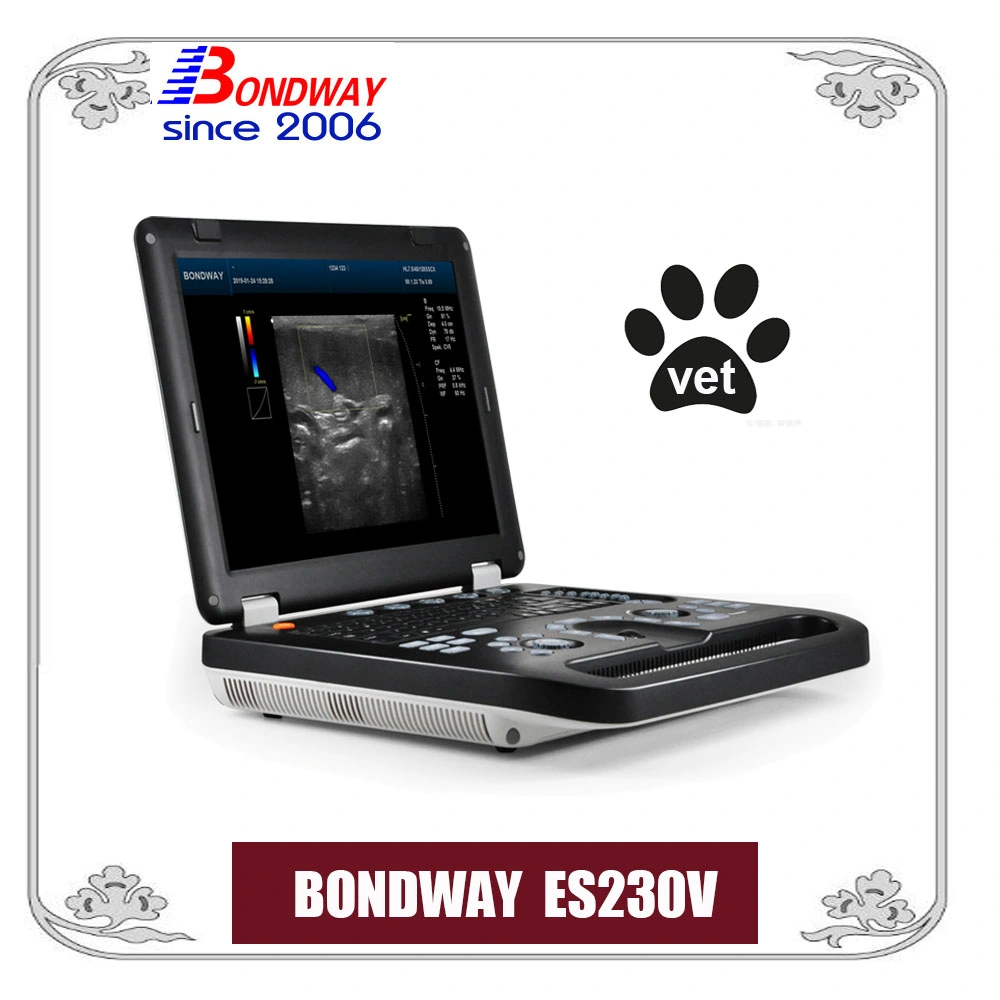 Digital Veterinary Color Doppler Ultrasonic Machine with 15 Inch Medical LED, Es230V,