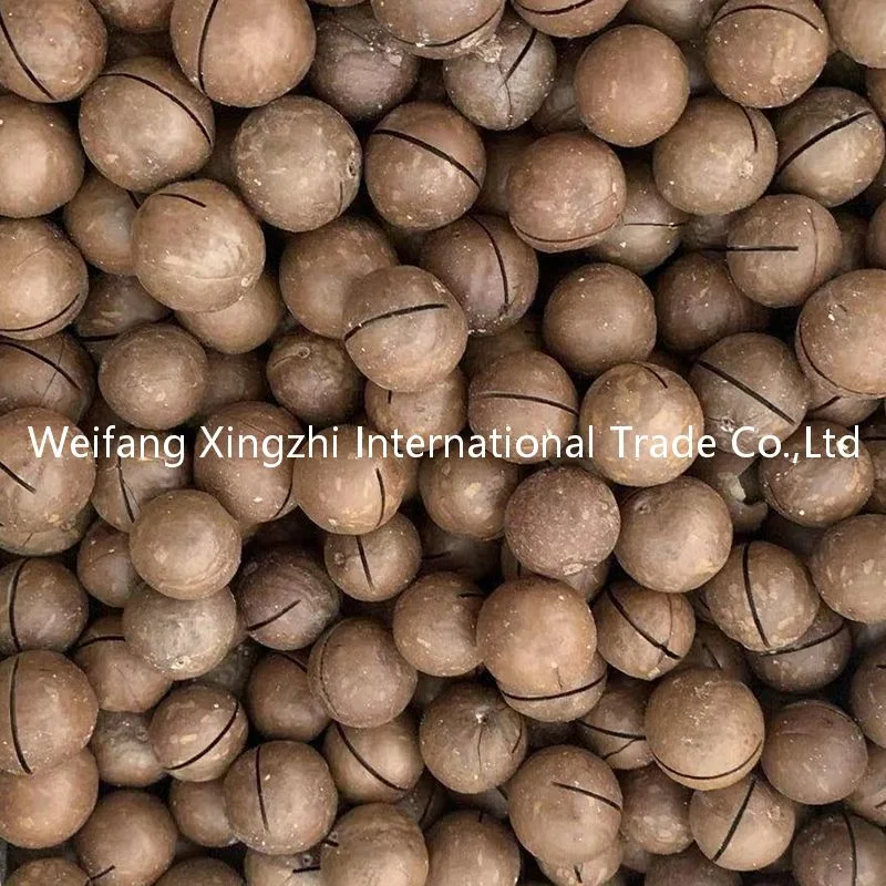 Chinese Low Price Roasted Macadamia Nuts for Wholesale