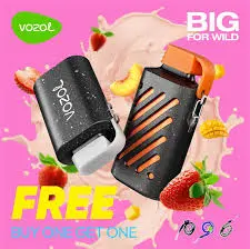 Wholesale/Supplier Original Vozol Gear 10000 Puff Disposable/Chargeable Vape Pen Waka vape with 20 Ml