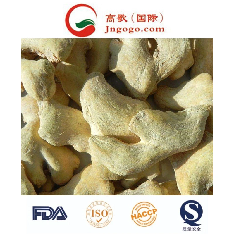 Top Quality Dry Ginger Supplier Dehydrated Ginger