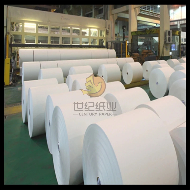 60GSM 70GSM 80GSM White Offset Printing Paper/ Woodfree Offset Paper Roll