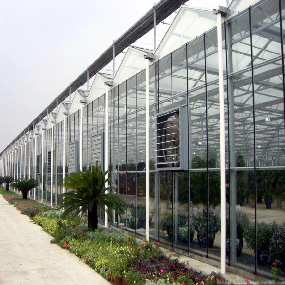 2023 Great Performance Agricultural Glass Greenhouse for Hydroponics Vegetables