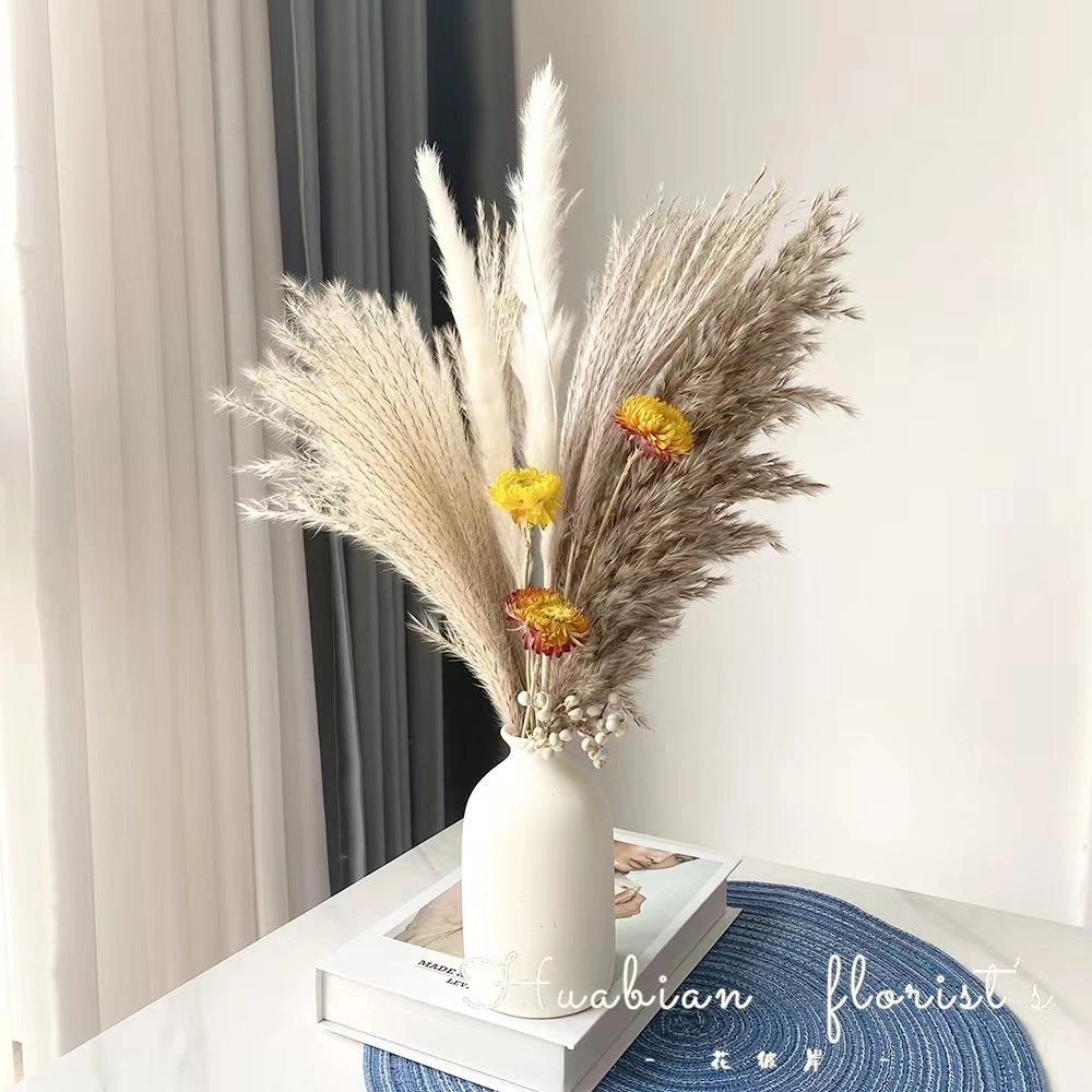 Dry Flower with Reed for Interior Hotel Home Decoration