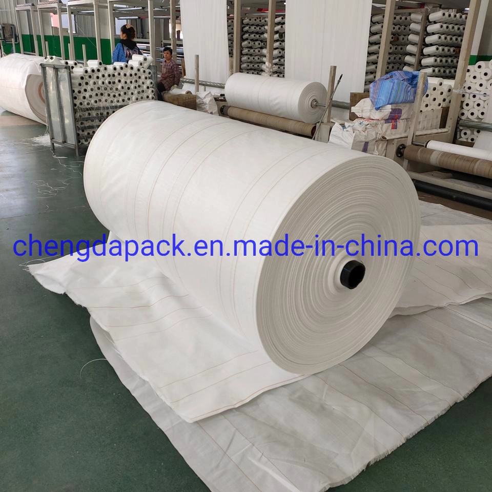 Wholesale/Supplier Plastic Laminated Tubular PP Fabric Woven Polypropylene Bag Fabric Roll