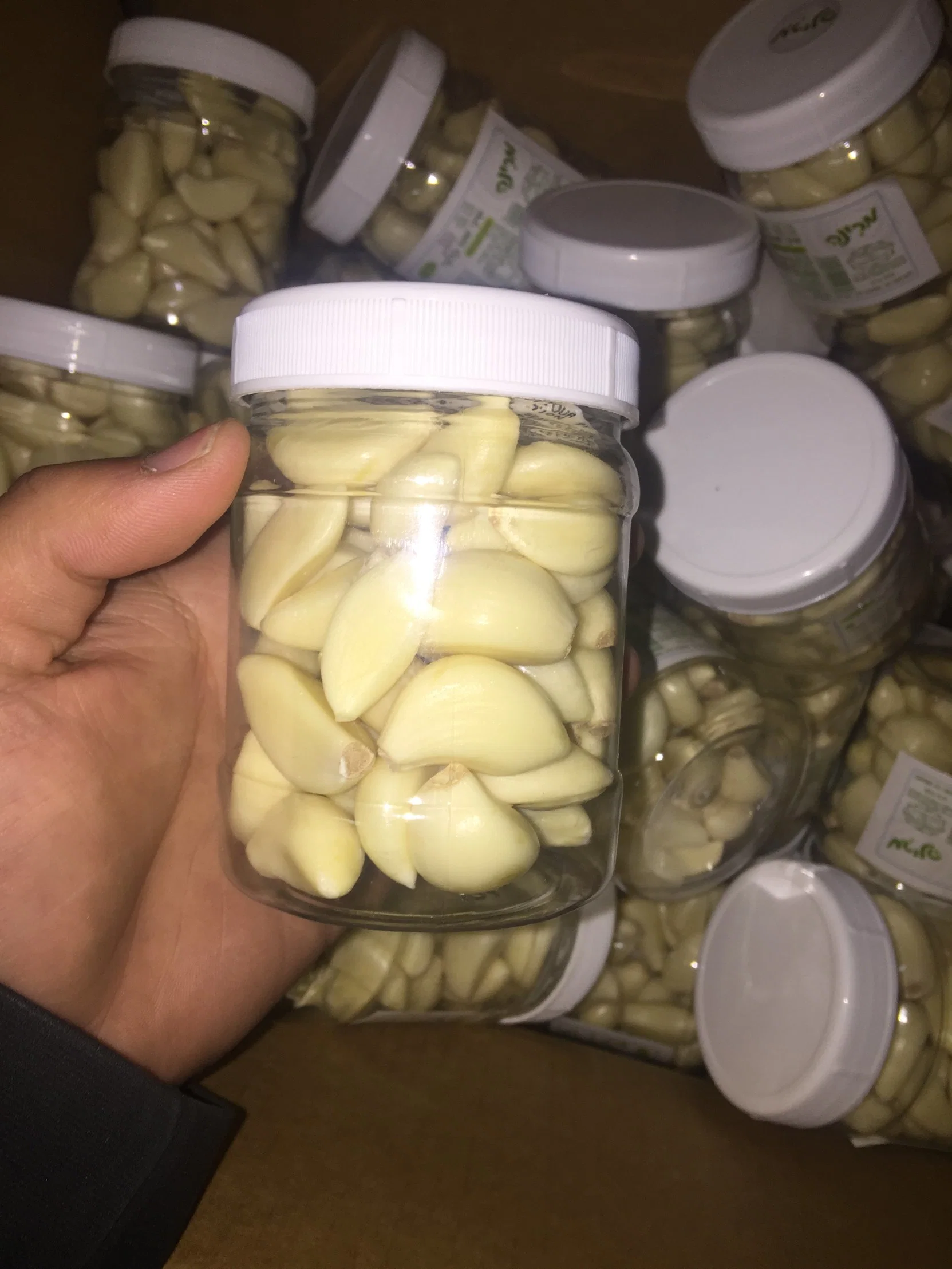 Chinese High quality/High cost performance  Fresh Peeled Garlic