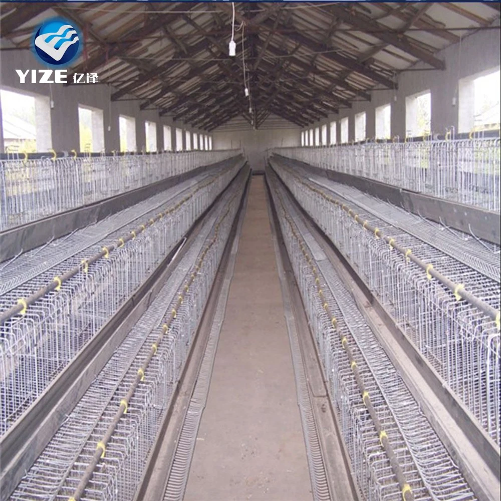 Hot Sale Good Quality Automatic Chicken Cage Poultry Farm Equipment