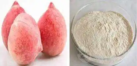 ISO22000 100% Herbal Extract for Food and Beverage Peach Powder Peach Extract Powder