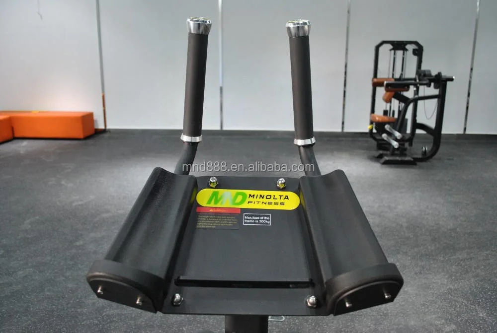 MOQ 1 Exercise Plate Loaded Sport Gym Equipment Ab Coaster