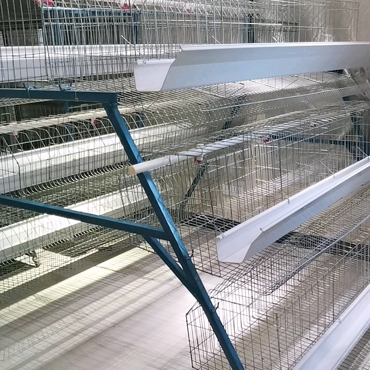 Chicken Farming/Farm Equipment/Machine Broiler Layer High Rate Baby Chicken Cage