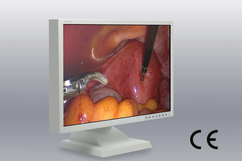 24-Inch 1920X1200 LCD Screen Ce Approved Endoscopy Monitor