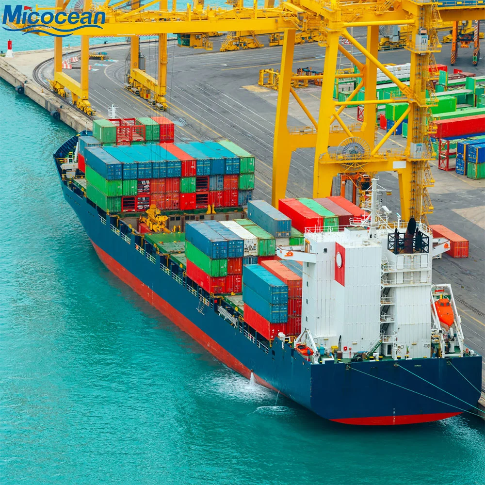 International Logistics Sea Freight Forwarder From Qingdao/Shanghai China to Asia