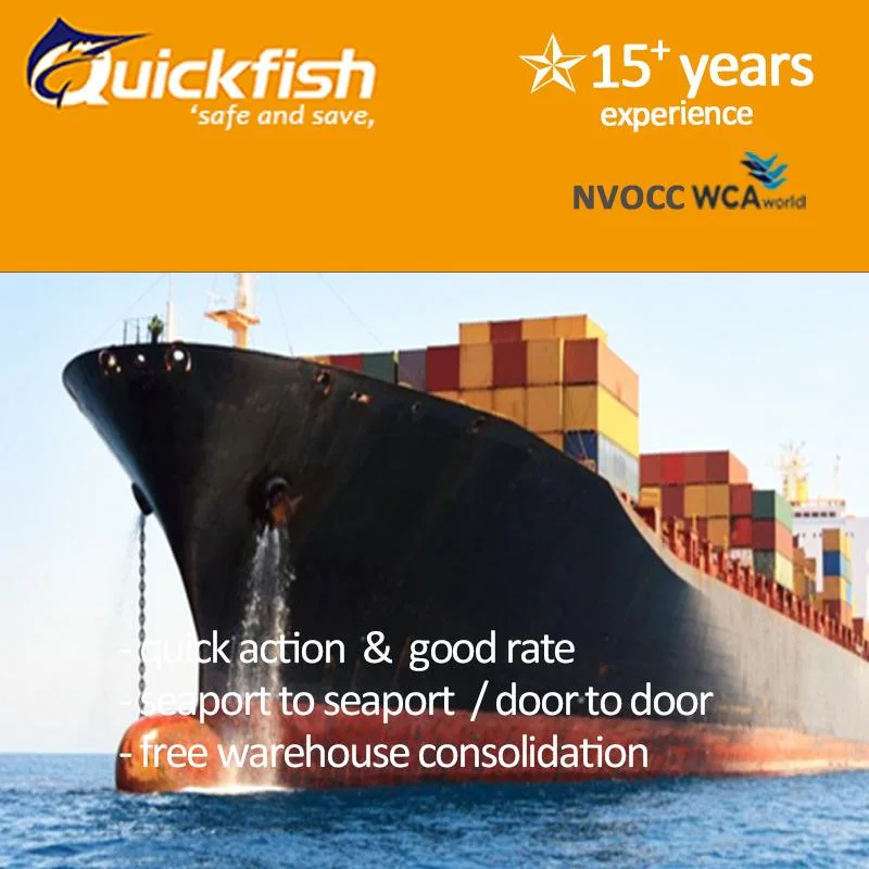 FCL LCL Ocean Shipping Service International Freight Forwarder de China A Australia /México /EE.UU./ Reino Unido DDP DDU