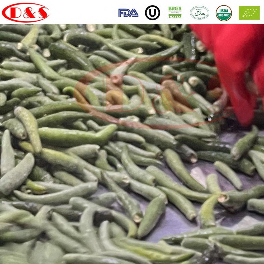 Qingdao Professional Chili Factory Supply IQF Hot Pepper/Frozen Chili/Jinta Chili