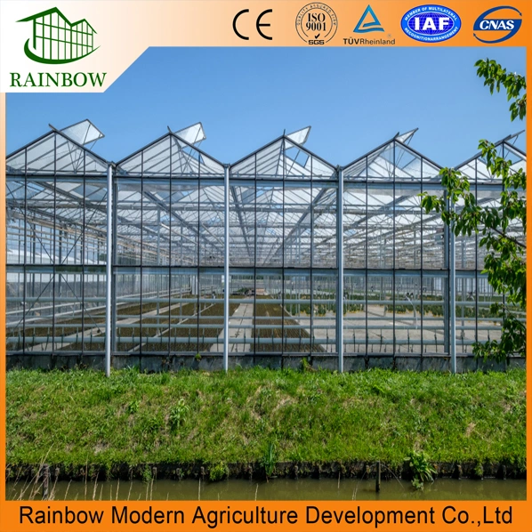 Venlo Roof Multi Span Polycarbonate Greenhouse