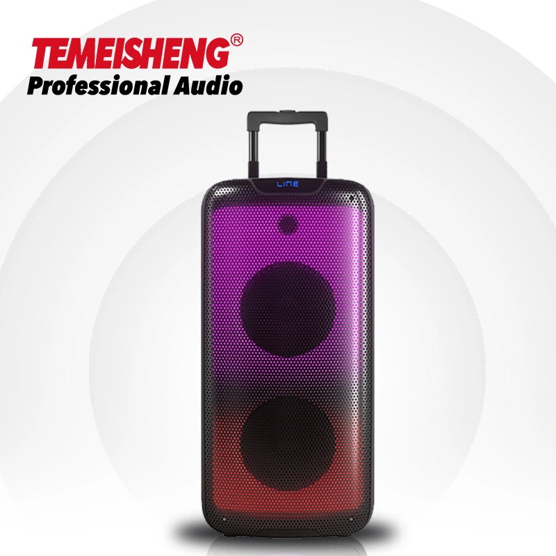 Temeisheng 2022 Venta caliente Alta Potencia Doble llama de 8 pulgadas Altavoz de la fiesta de la luz