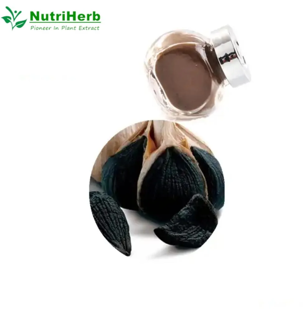 Hot Sales 100% Pure 10: 1 Black Garlic Powder