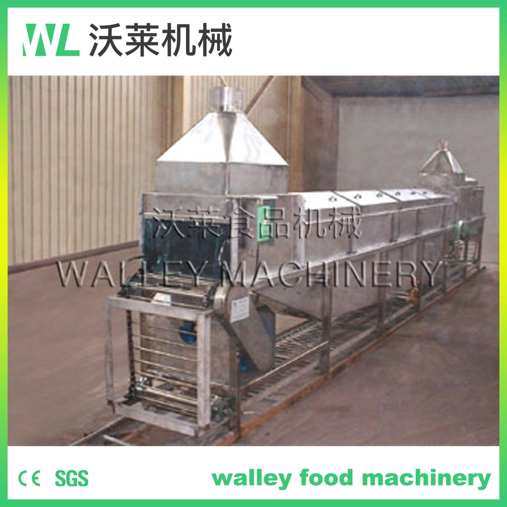 Industrial Aloe Ice Water Cooling Machine Asparagus Chiller