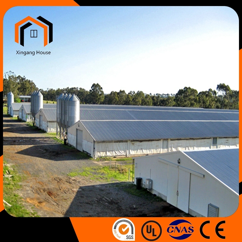 High quality/High cost performance  Sandwich Panel Color Tile Structural Steel Fabrication Egg Layer Farm House