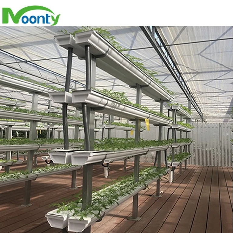 New Design Agricultural Commercial Nft Lettuce/Celery Cultivation Hydroponics System