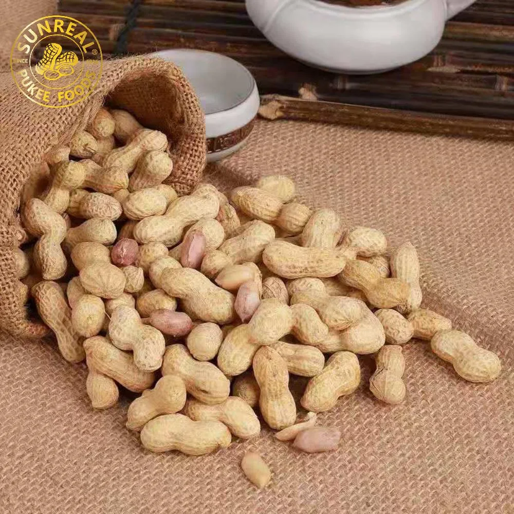 Raw Java Peanut in Shell/Superior Quality From China Snacks Food