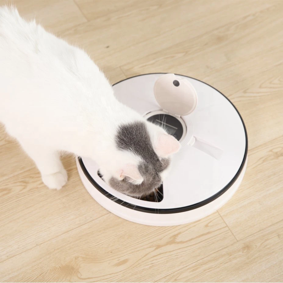 Novo Design transparente de alta qualidade Fonte Pet Cat Dog automático do alimentador para animais de estimação Alimentador automático de alimentação de água