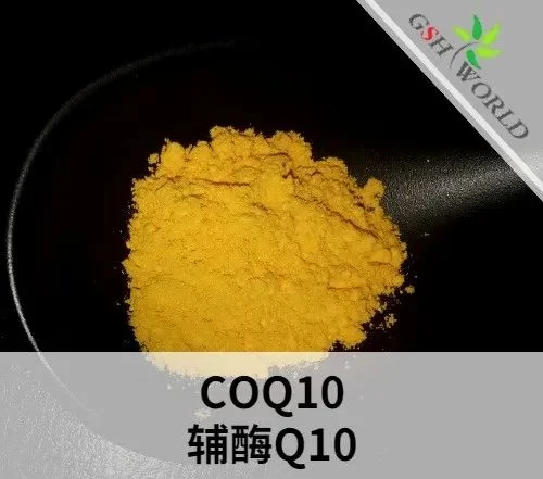 Health Food Additive Raw Material Coenzyme Q10 USP Grade