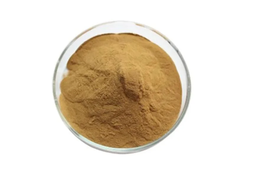 Herbway China Supplier High quality/High cost performance  Competitive Pirce 20% Hydroxytyrosol Olea Europea L Olive Leaf Extract Natural Supplements