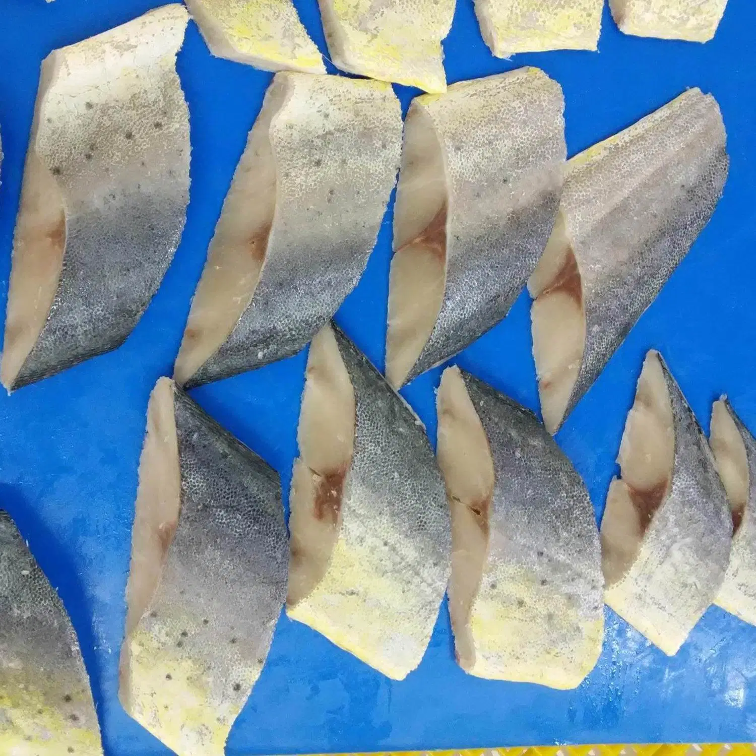 Maihi Mahi Fillet مجمد، تشغيل البشرة