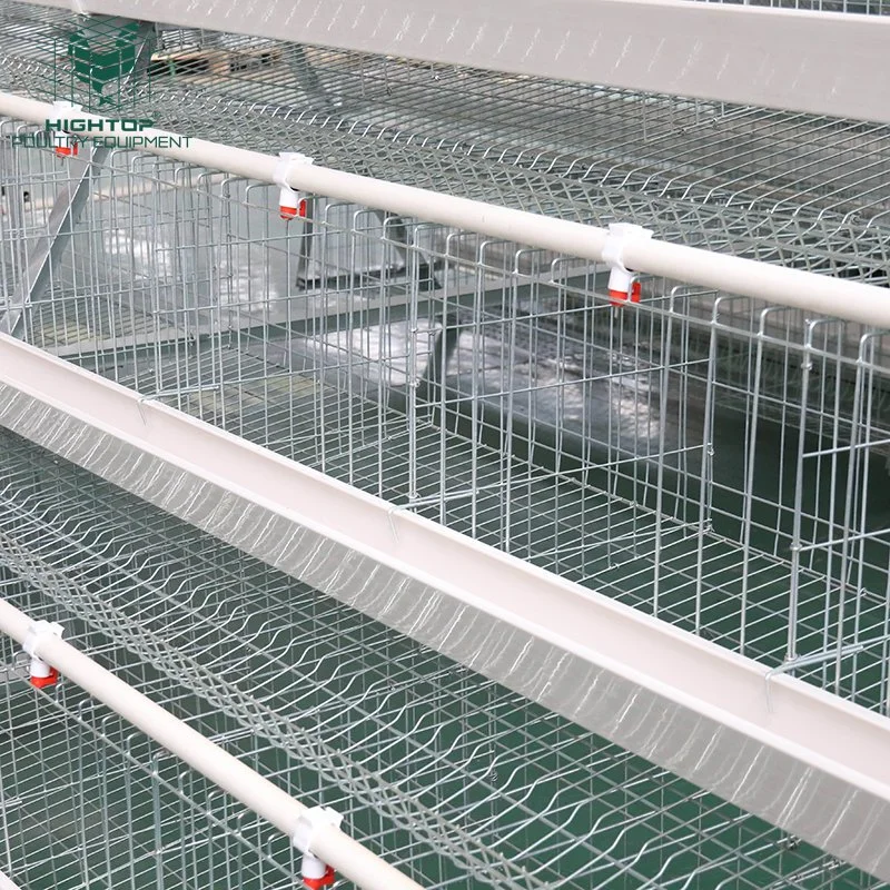 Hot Sale Prix de gros d'une ferme avicole de type Cage de la couche de poulet en Ouganda avec système d'eau automatique