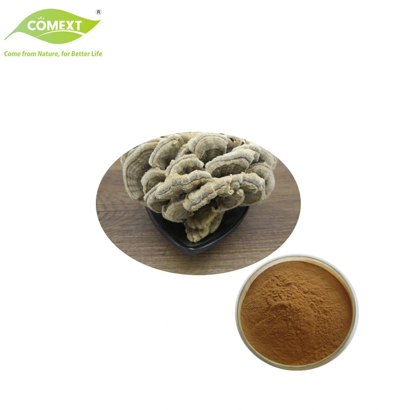 Comext High Quality Mushroom Extract Trametes Versicolor Mushroom Powder Turkey Tail Mushroom Extract