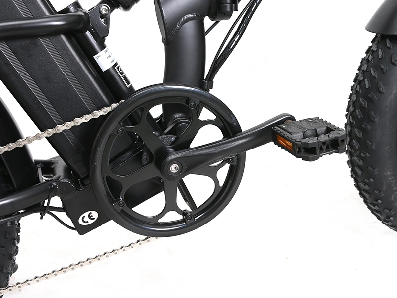 Brushless Motor 36V/250W 36V/10.4ah Folding Electric Bike with Full Suspension