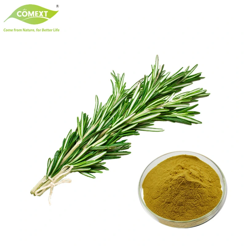 Comext ISO Halal Kosher Certified Natural Antioxidants 25% Ursolic Acid Rosemary Extract