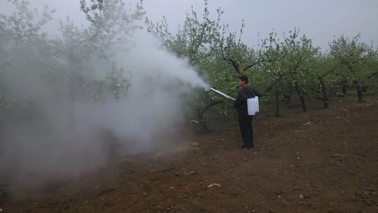 The New Pulse Power Sprayer Fight Drugs Agricultural Smoke Machine Fog Machine Shed Sprayer Chemical Thermal Fogging Machine Sprayer for Mosquito Killer