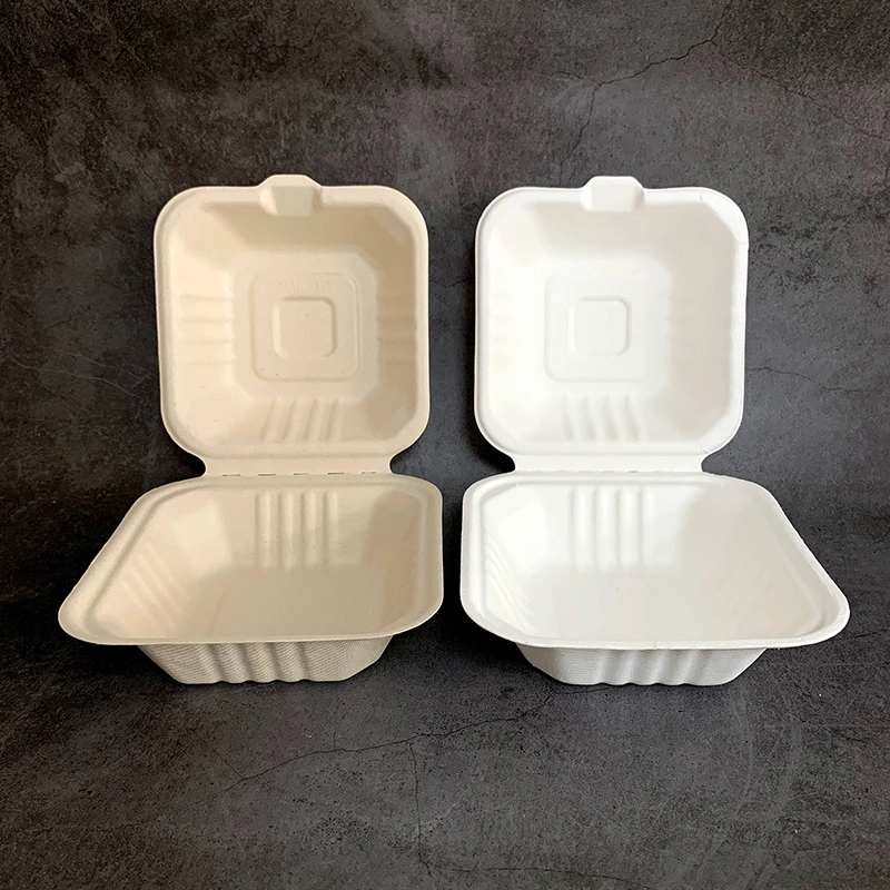 6inch Custom Logo Chemical Free Sugarcane Bagasse Takeaway Food Container