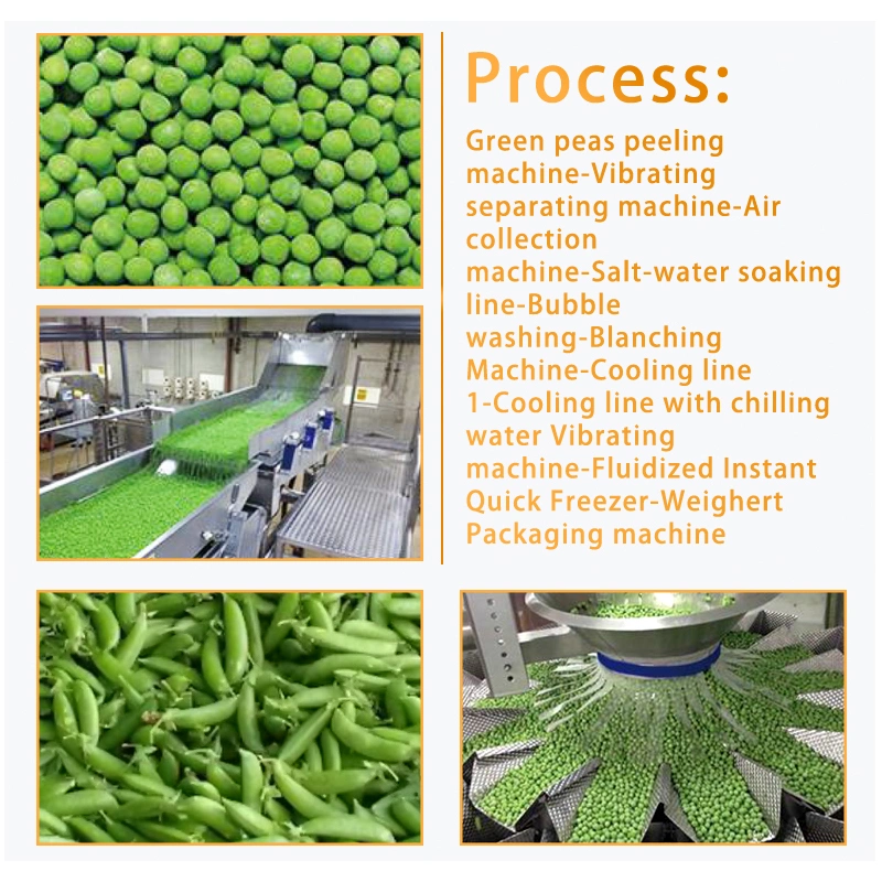 Momordica Charantia Pumpkin Lentils Edamame Vegetable Processing Line