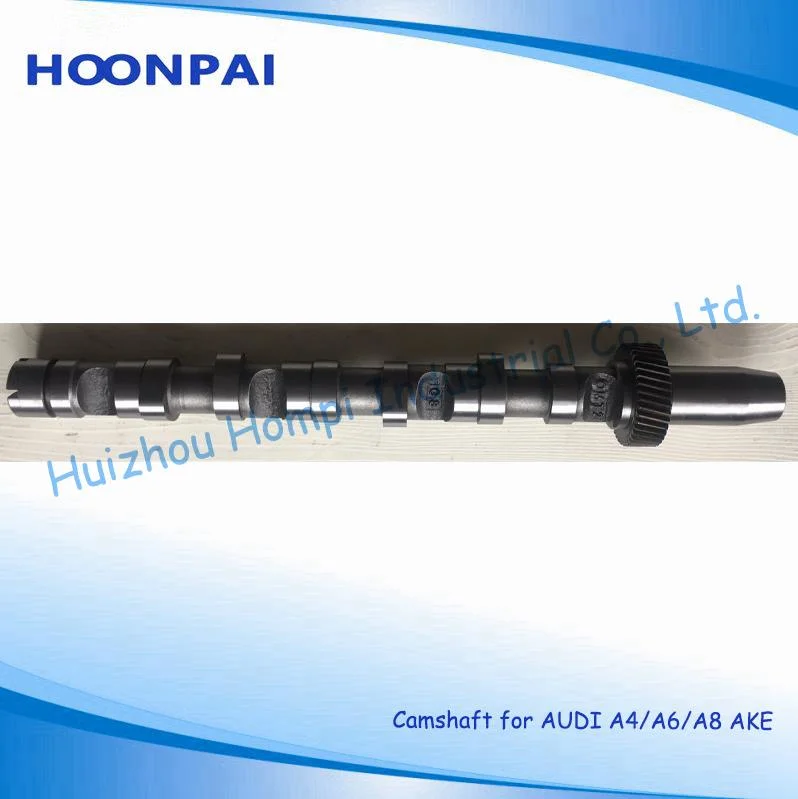 Auto Spare Part Camshaft for Volkswagen/Audi A4 Convertible (8H7, B6, 8HE, B7)/A6 Avant (4A, C4) 058109022B(IN) 058109021B(EX) 074109101J/Bmm/BPW/Brc A3 2.0tdi