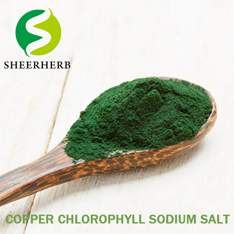 Chlorophyllin Chlorophyll 95% 100% Sodium Copper Chlorophyllin Sodium Magnesium