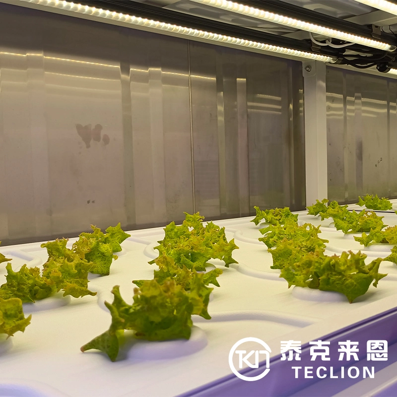 Vertical Agricultural Automated System Container Farming with Growing Facilities