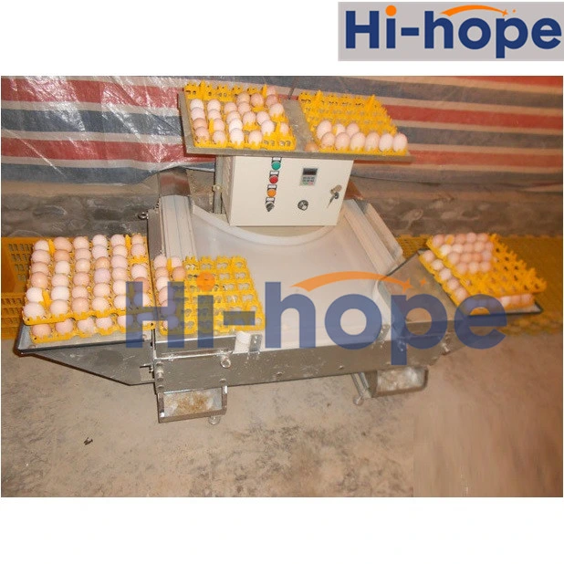 Factory Supply Agricultural Egg Nest Chicken Farming Feeding Equipment