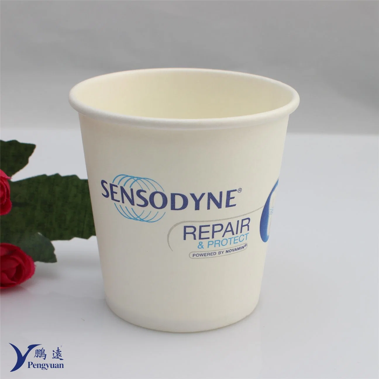 PLA desechables biodegradables Dental DENTISTA Una vez utilizar vasos de papel