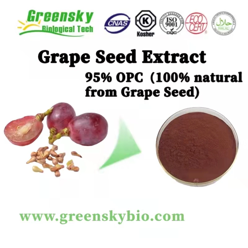 Pure Organic Grape Fruit Seed Extract 95% OPC Vitis Vinifera Extract Plant Extract Herbal Extract Food Additive Antioxidant Yeast Extract