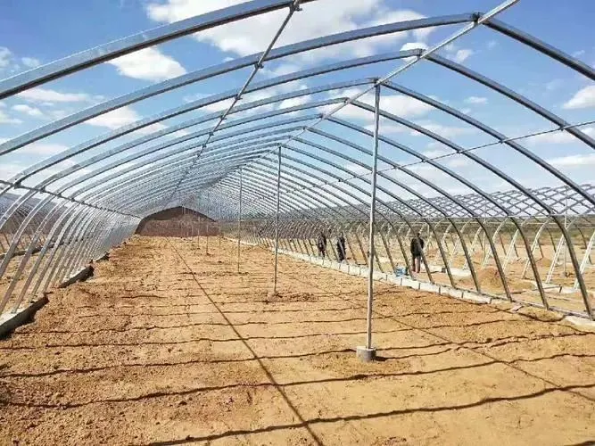 Prefabricated Frame No Welding Prefabricated Greenhouse for Rose Planting