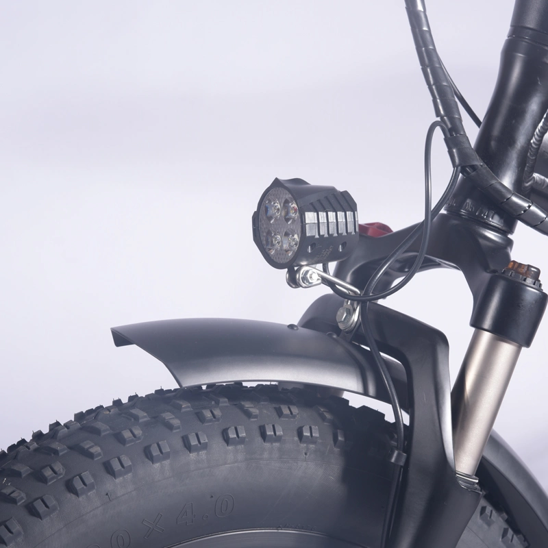 7 marchas personalizadas 20" Gravity Road Roadbike Mini Dirt Bike EBike eléctrico