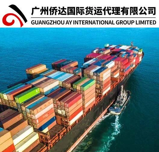 FCL&LCL Sea Freight/1688 Alibaba Shipping Agent From China to Barbados (Bridgetown)